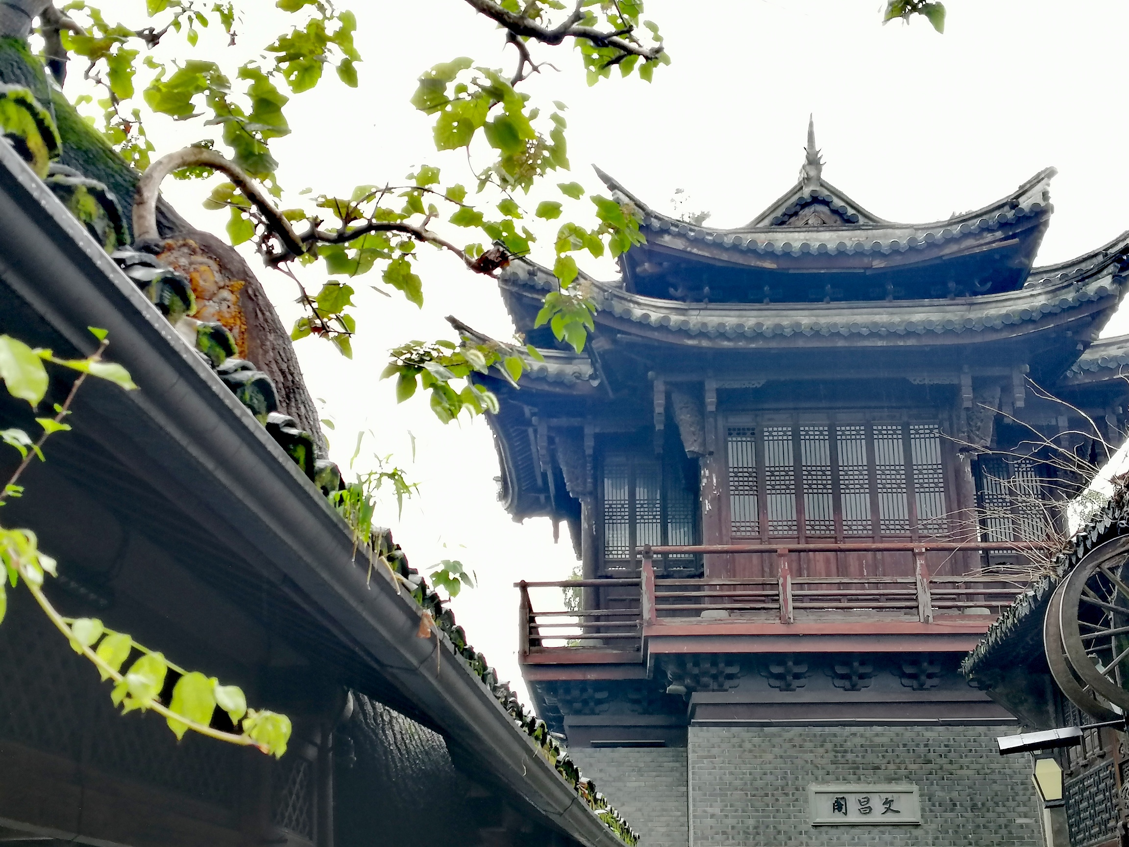 微信图片_20261026091747_380_2.jpg