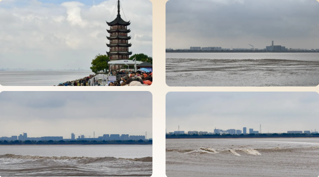 微信图片_20261027140450_440_2.png